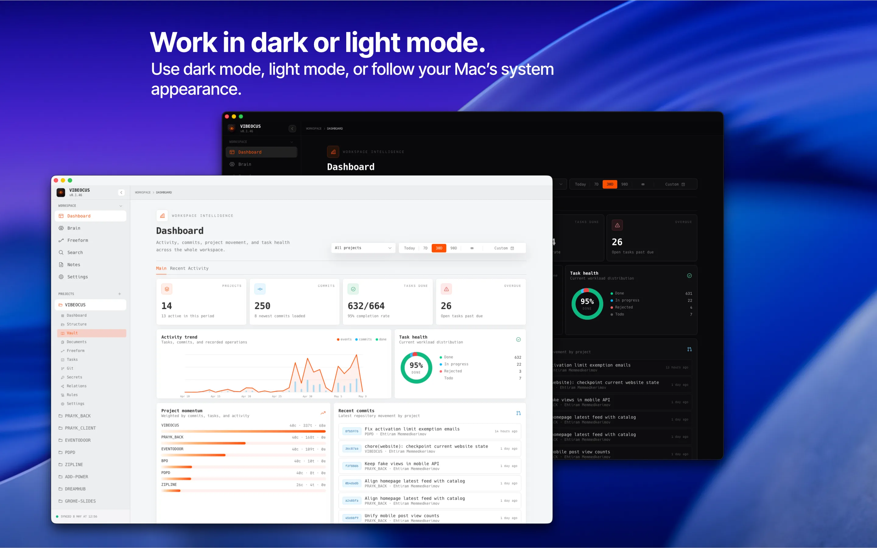 Vibeocus appearance settings showing light and dark workspace theme controls